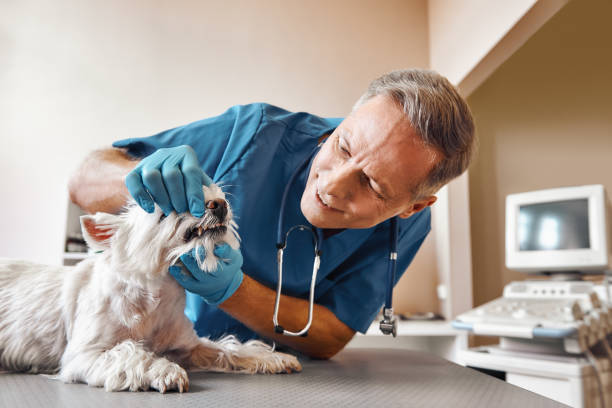 Best Mobile Emergency Dentist in Sparta, TN